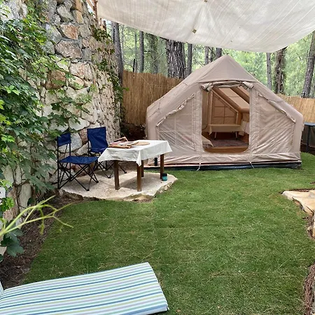 Misa Fethiye Kargı