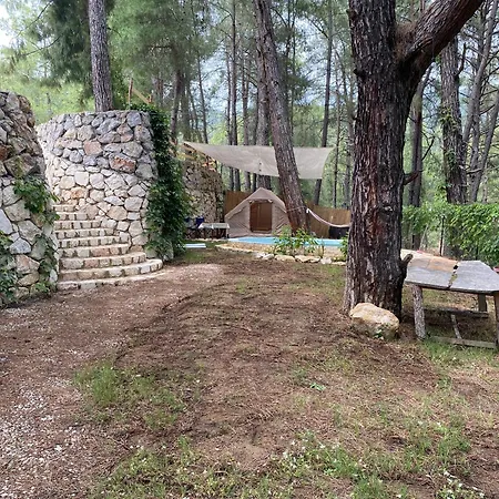 Misa Fethiye