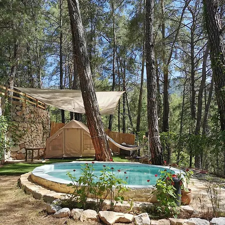 Misa Fethiye Kargı